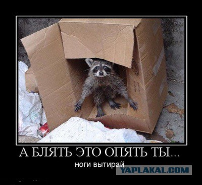 10 доказательств того, что любой угол можно превратить в жильё