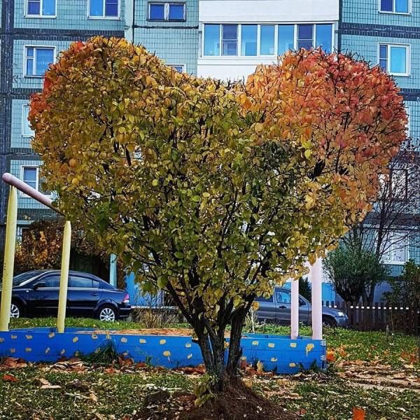 Подборка интересных и веселых картинок