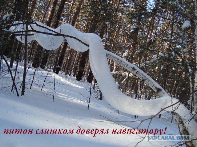 Просто юмор 21