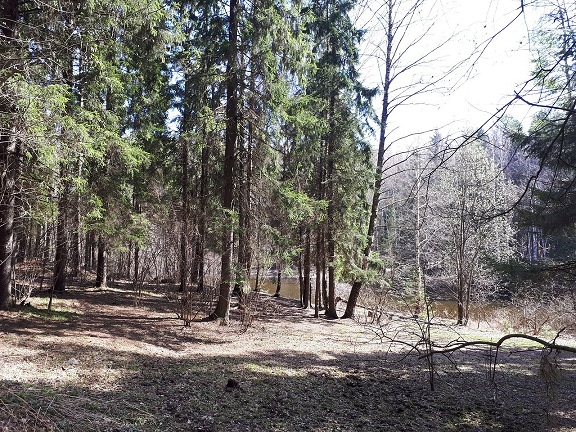 Просто Природа