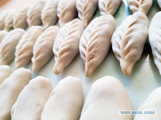 Кулинары поздравляют ЯП с днём рождения!