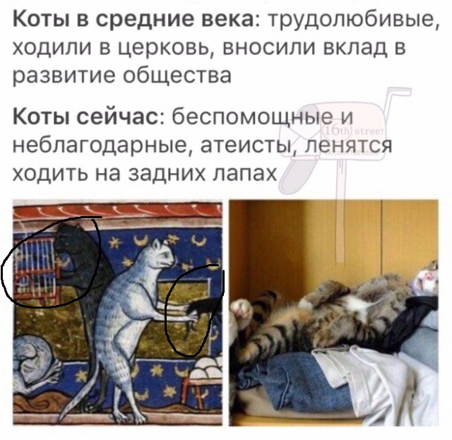Нестандартный юмор
