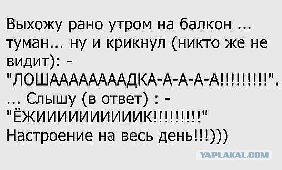 Немного аморального юмора