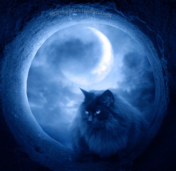 Рисованные киски