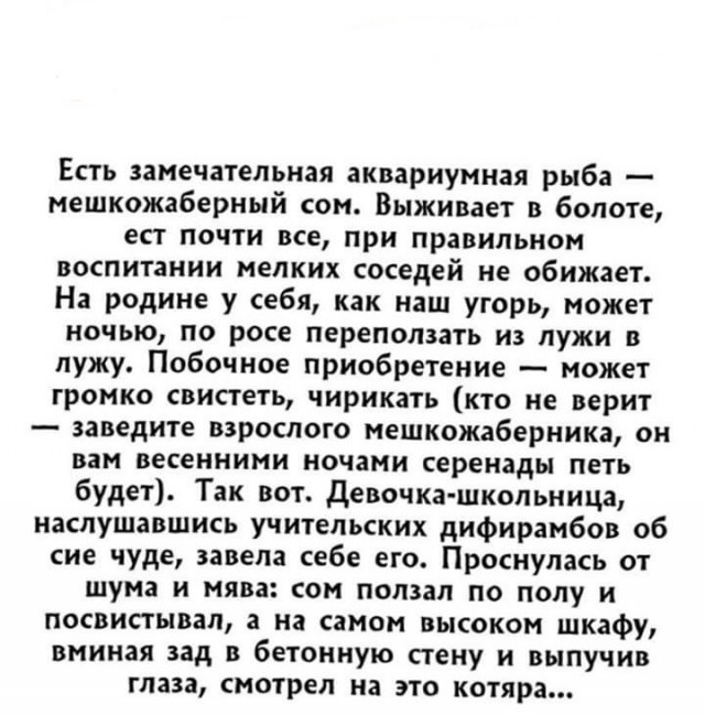 Обидевший соседа. Обидевший соседа