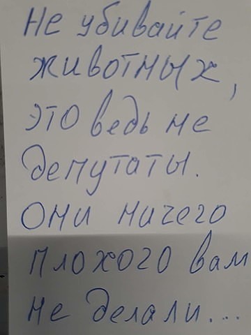 Анекдоты, соц-сети и картинки с надписями