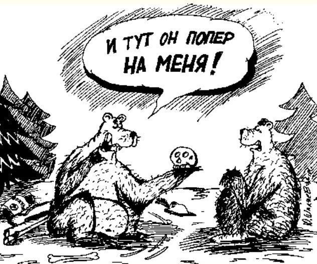 Медведь - страшная сила