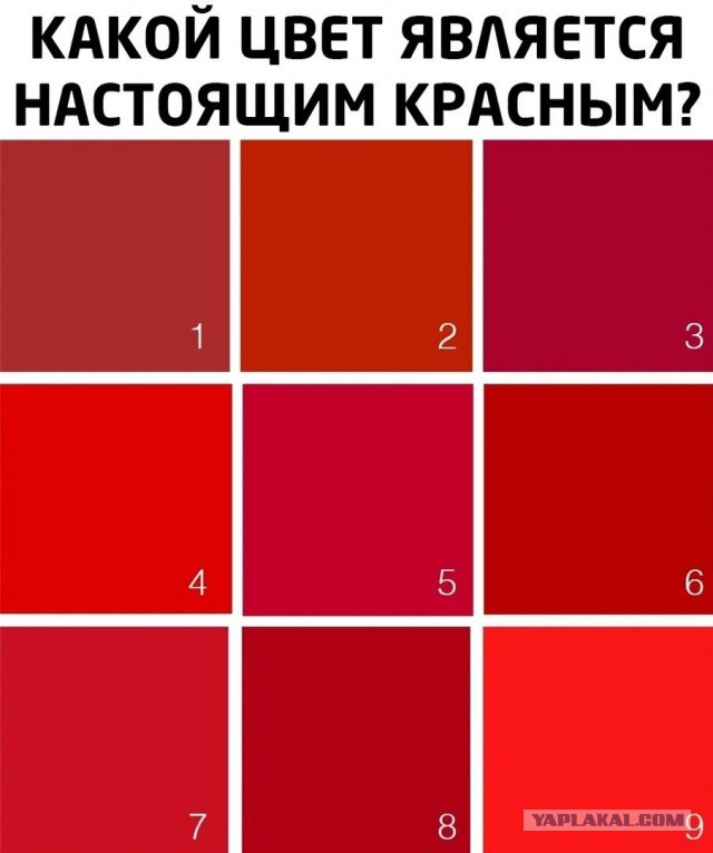 Чуток картинок 31.03.20