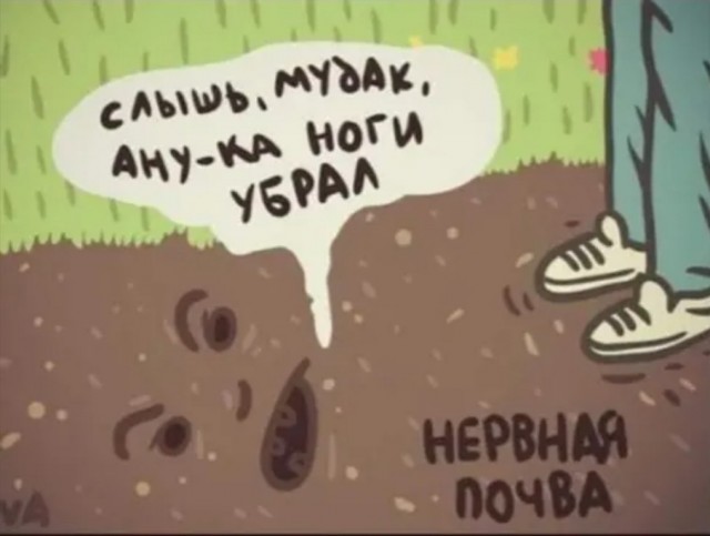 Немного картинок для настроения 10.05.20