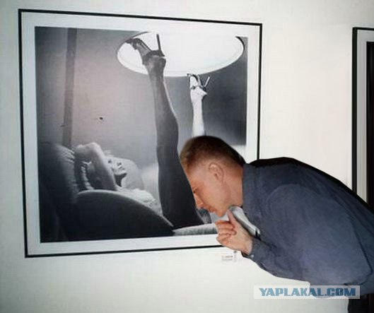 Фотожаба: Молодой ценитель