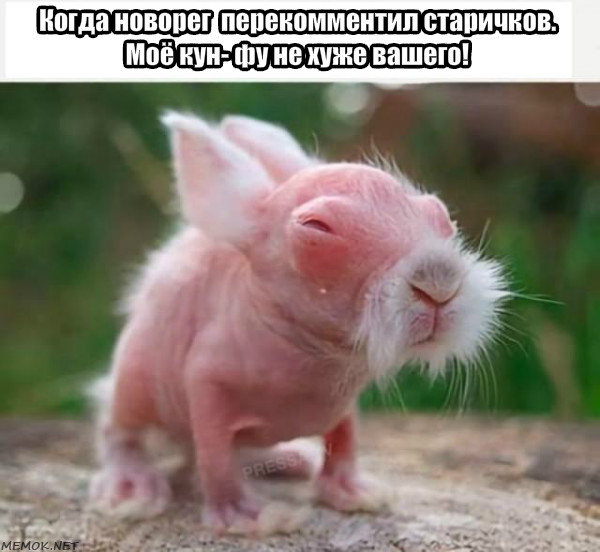 Конкурс Коротких Креативов - 22 "Кот в мешке". Итоги.