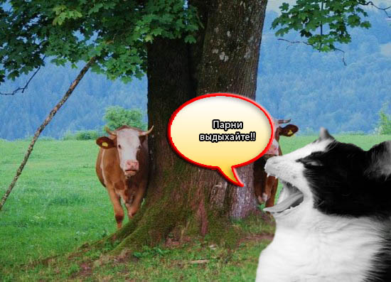 Как ты думаешь, измена скора отпустит?