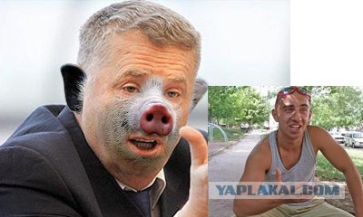 Свиногрипп и известные политики