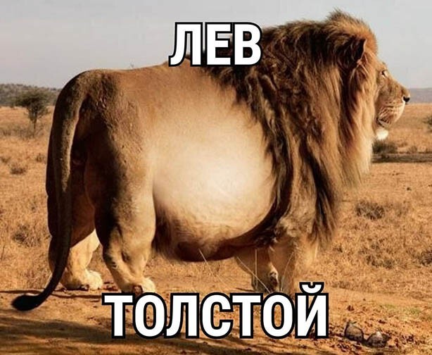 Юмор в картинках 28.08.20