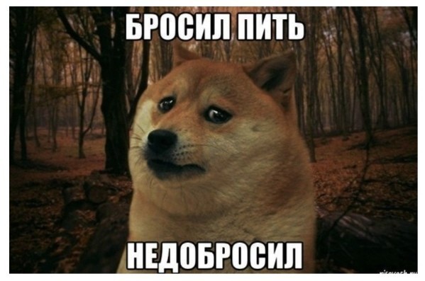 Бредзона 26.09.20