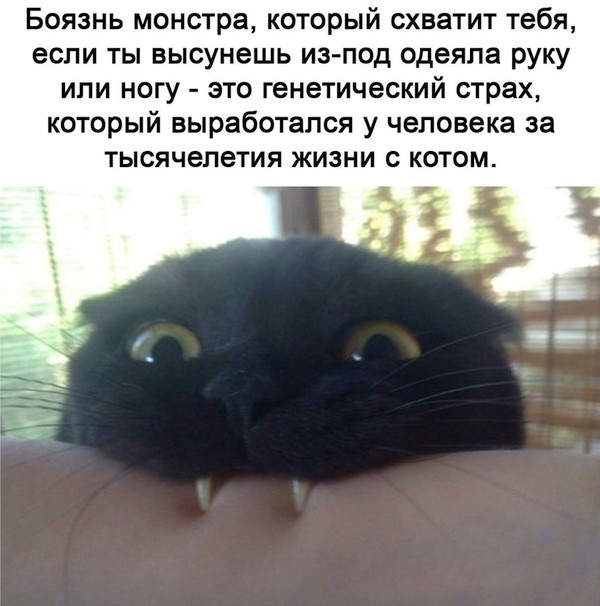 Бредзона 28.12.20