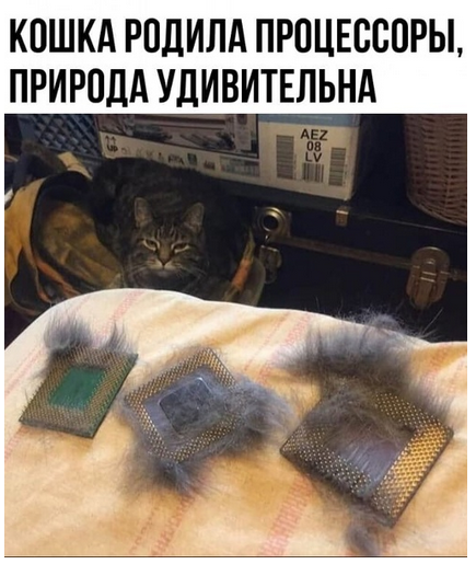 Кретинизмы из KV и KO 31.01.21