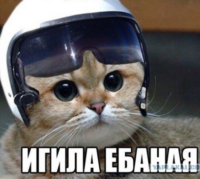 Вассерман заявил о переброске турецких военных на Украину