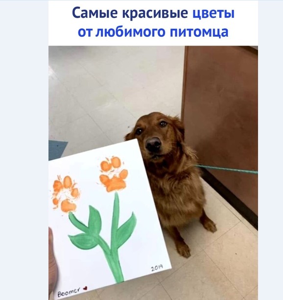 Картинки и мемы для настроения