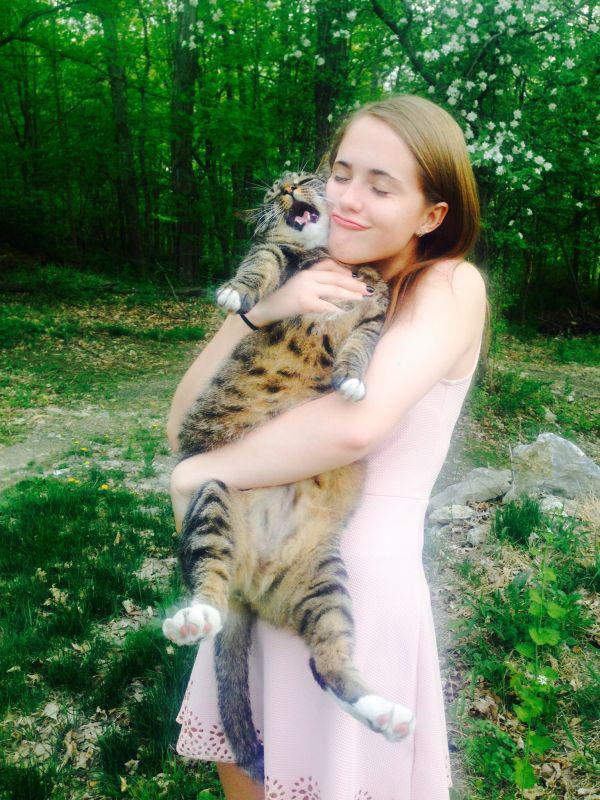 Девушки котовторника