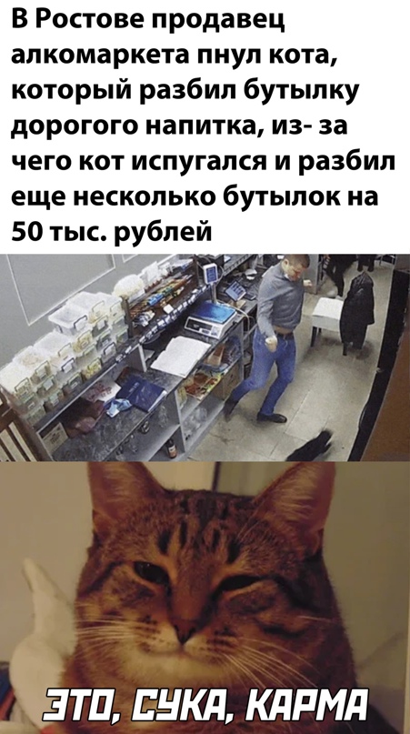 Весёлый полтишок 5.03