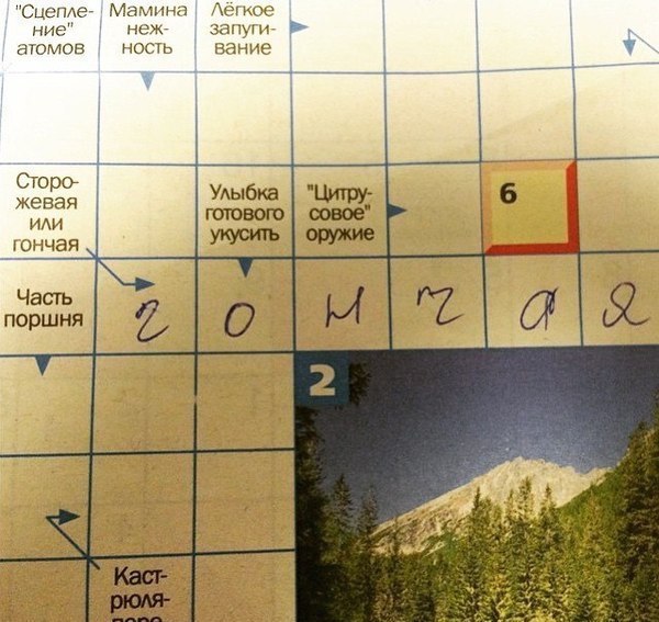 Перлы 10.03.2021
