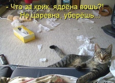 Добрая старушка