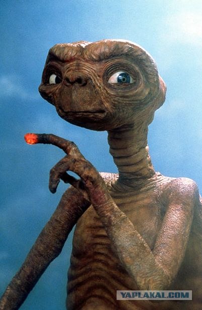 В лесу Пенсильвании засняли пришельца?