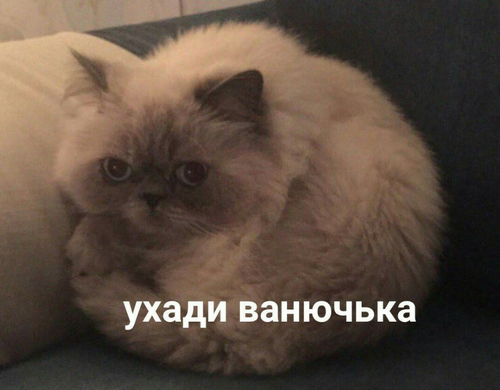 Жена в 21 веке - якорь, забирающий деньги и свободу?