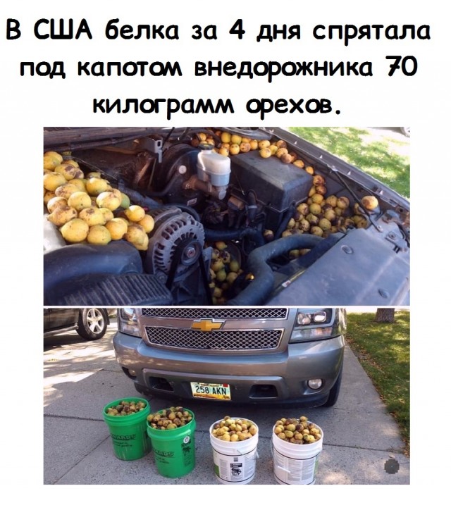 Юмор и прикольные картинки 11.10.2021