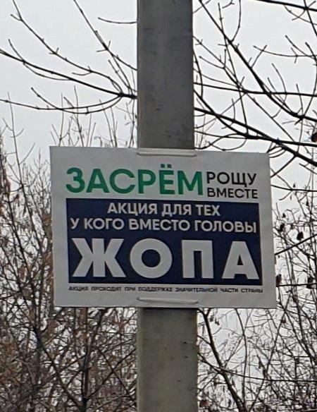 Весёлый полтишок 24.01