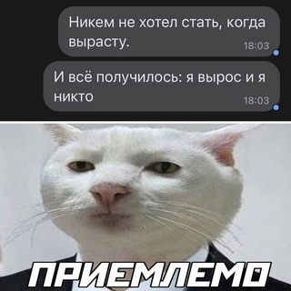 Картинки и мемы для настроения  - 31