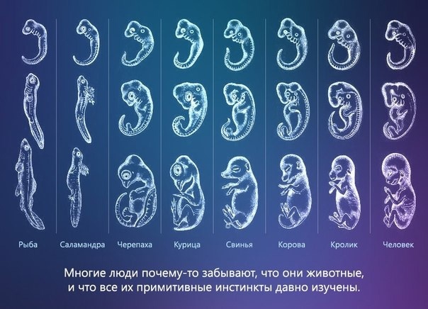 Слава богу, я безбожник #5