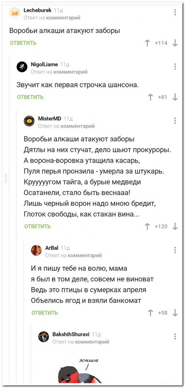 Весёлый полтишок 14.06.22