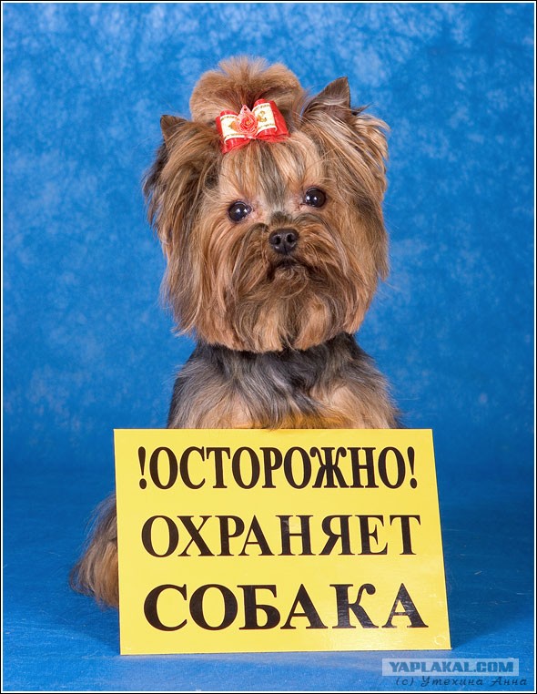 Страшно, очень страшно, мы не знаем, что это такое