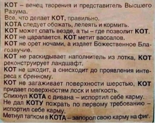 Поляк выгоняет своего кота
