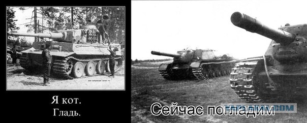 Королевский тигр. Заводится