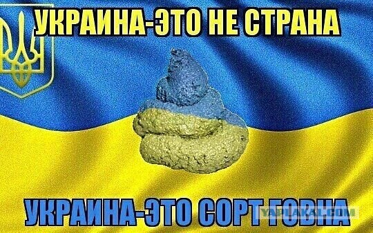 Мозгов нет, точно...