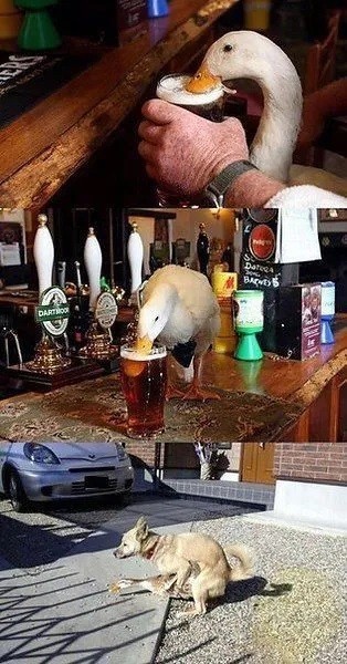 Когда друзья начали без тебя