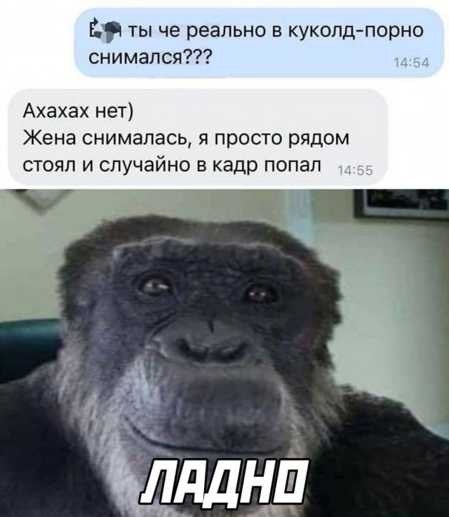 Пятница. И немного слегка пошлых картинок с надписями и без 16+ (27.01)
