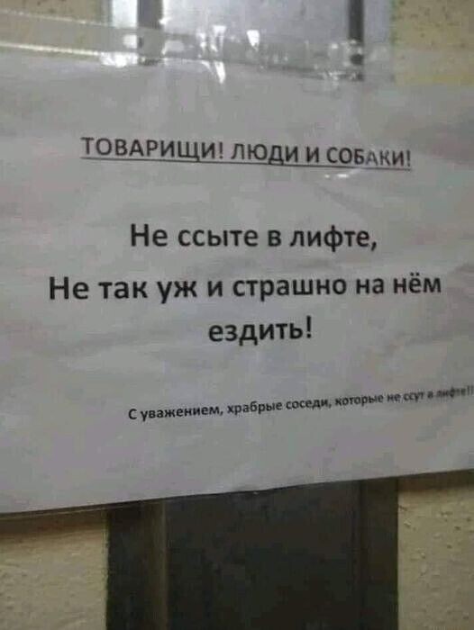 Юмор в картинках и без 21.02.2023