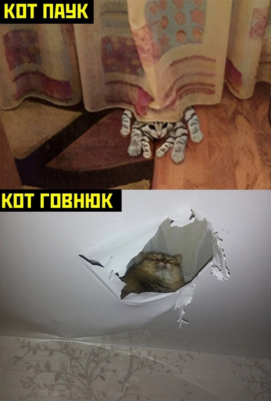 Картинки и мемы, всяко разно - 175