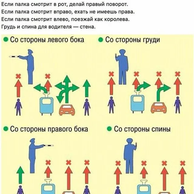 Весёлый полтишок 01.10.23