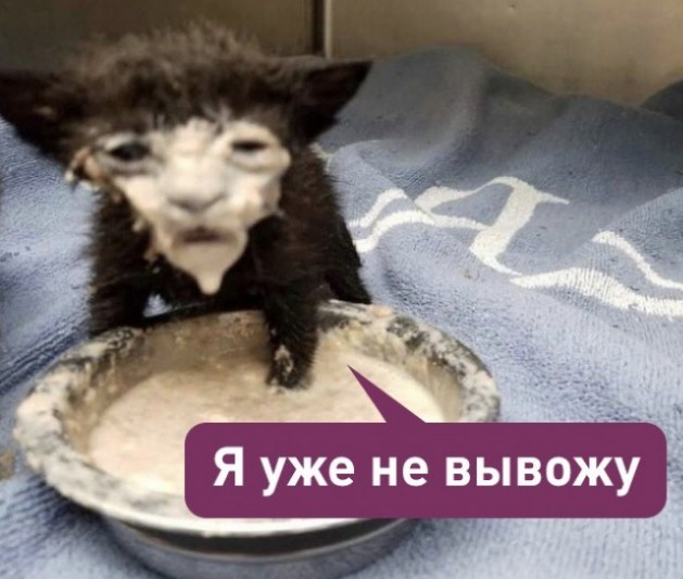 «Дадим мощный отпор нечисти»: Куклачев призвал бомбить Европу после теракта в «Крокусе»