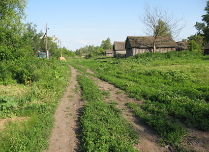 Красивые картинки о деревне