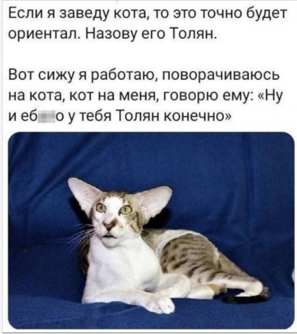 Веселые картинки к пятнице (07.06)