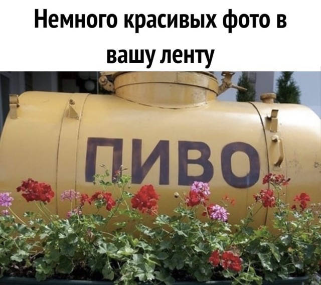 Всего понемногу. От 27.06.2024