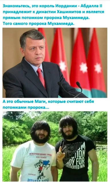 Так себе картинки 22.02.25