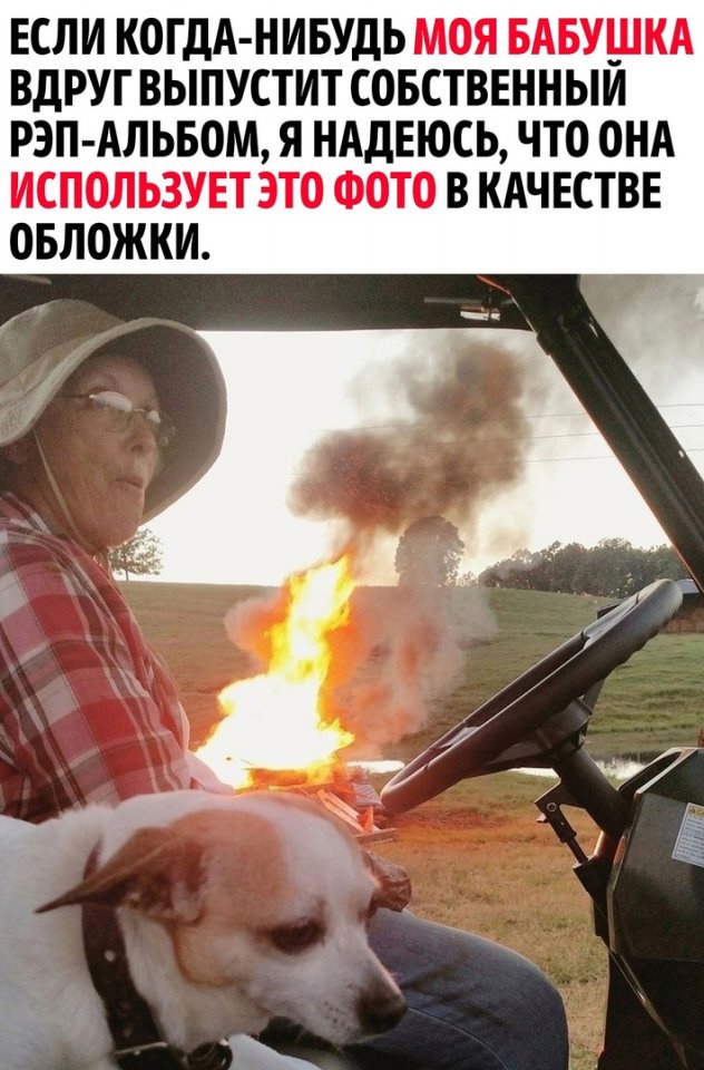 Так себе картинки 28.03.25