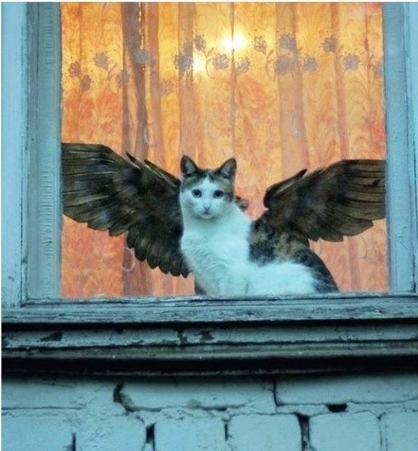 Наверное просто показалось
